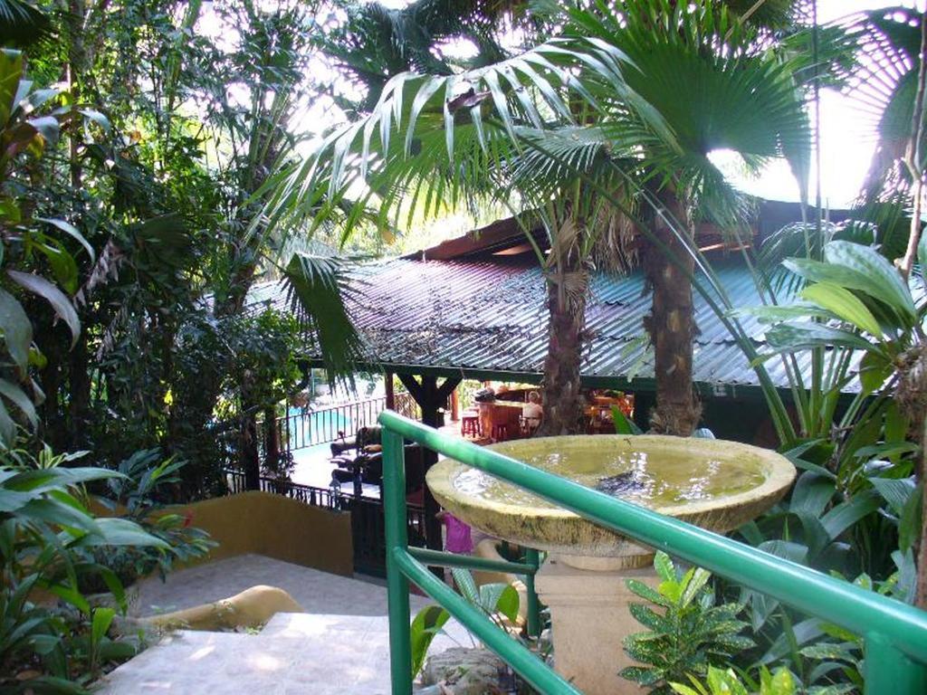 Jungle Villa Manuel Antonio Exteriér fotografie