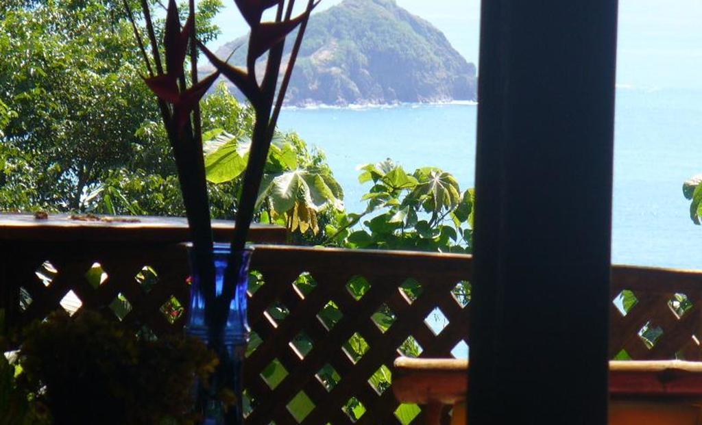 Jungle Villa Manuel Antonio Exteriér fotografie