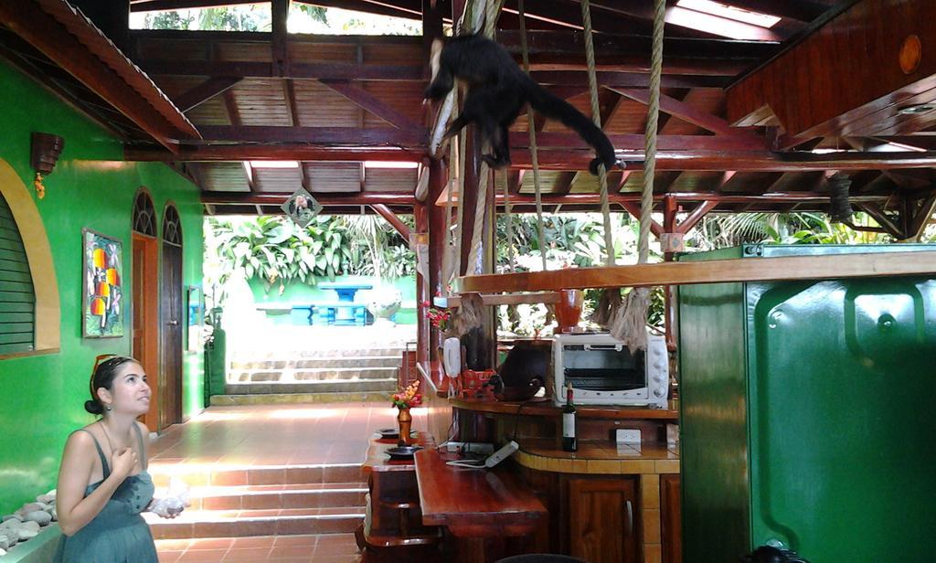 Jungle Villa Manuel Antonio Exteriér fotografie