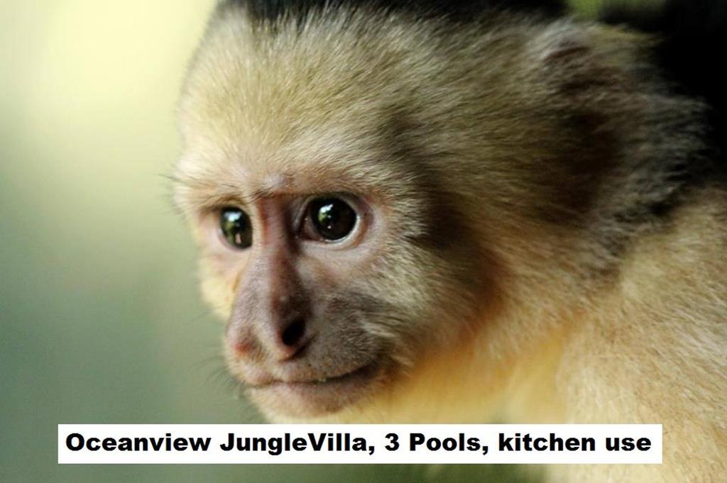 Jungle Villa Manuel Antonio Exteriér fotografie