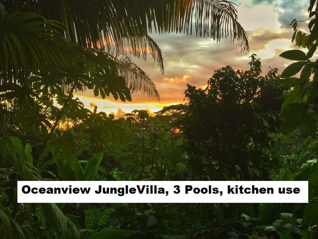 Jungle Villa Manuel Antonio Exteriér fotografie