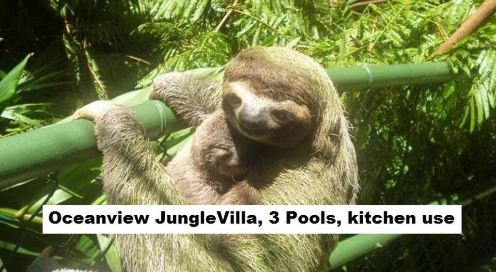 Jungle Villa Manuel Antonio Exteriér fotografie